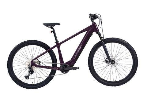 Esconder ARX Pro 29" Plum
