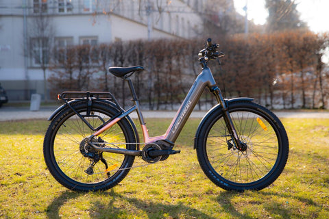 Taura PS 17"